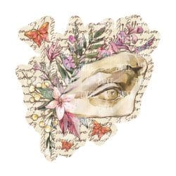 Beauty Is Everywhere (download)