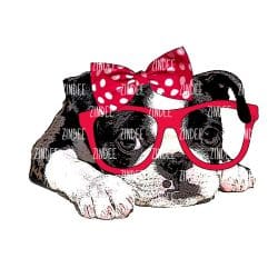 Boston Terrier with Bow and Glasses (Sublimation Transfer)