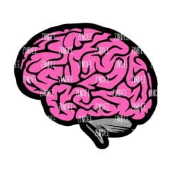 Brain Side View – Acrylic Badge Reel Blank (2") No Hole | Optional Sticker or UV DTF