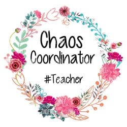 Chaos Coordinator Teacher (download)