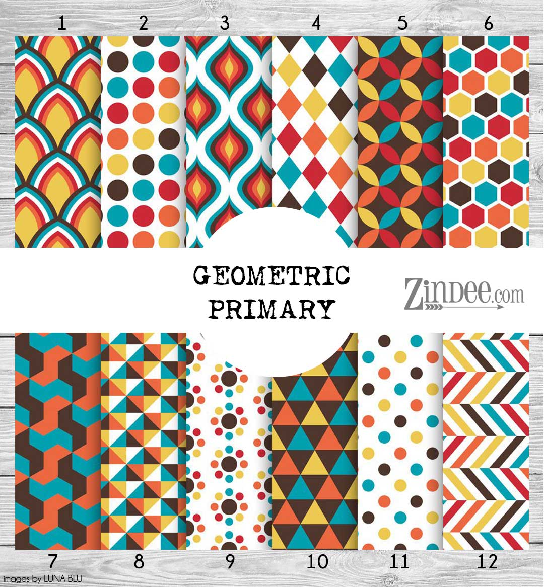 Geometric Primary (vinyl)
