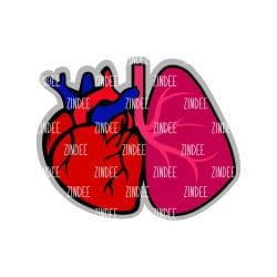 Heart Lung – Mini Acrylic Charm Blank (1.5") | Optional Sticker or UV DTF