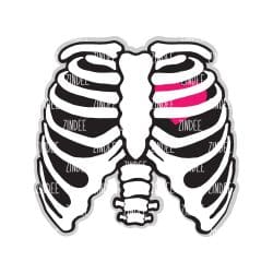 Rib Cage – Acrylic Keychain Blank (2.5") | Optional Sticker or UV DTF