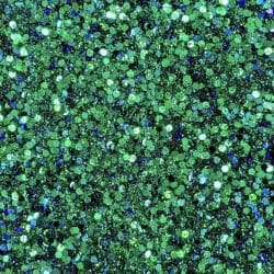 Dragon Chameleon Glitter (BAG) - Image 2