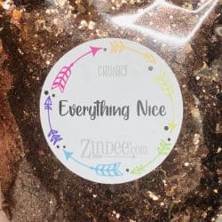 Everything Nice Chunky Polyester Glitter (BAG)