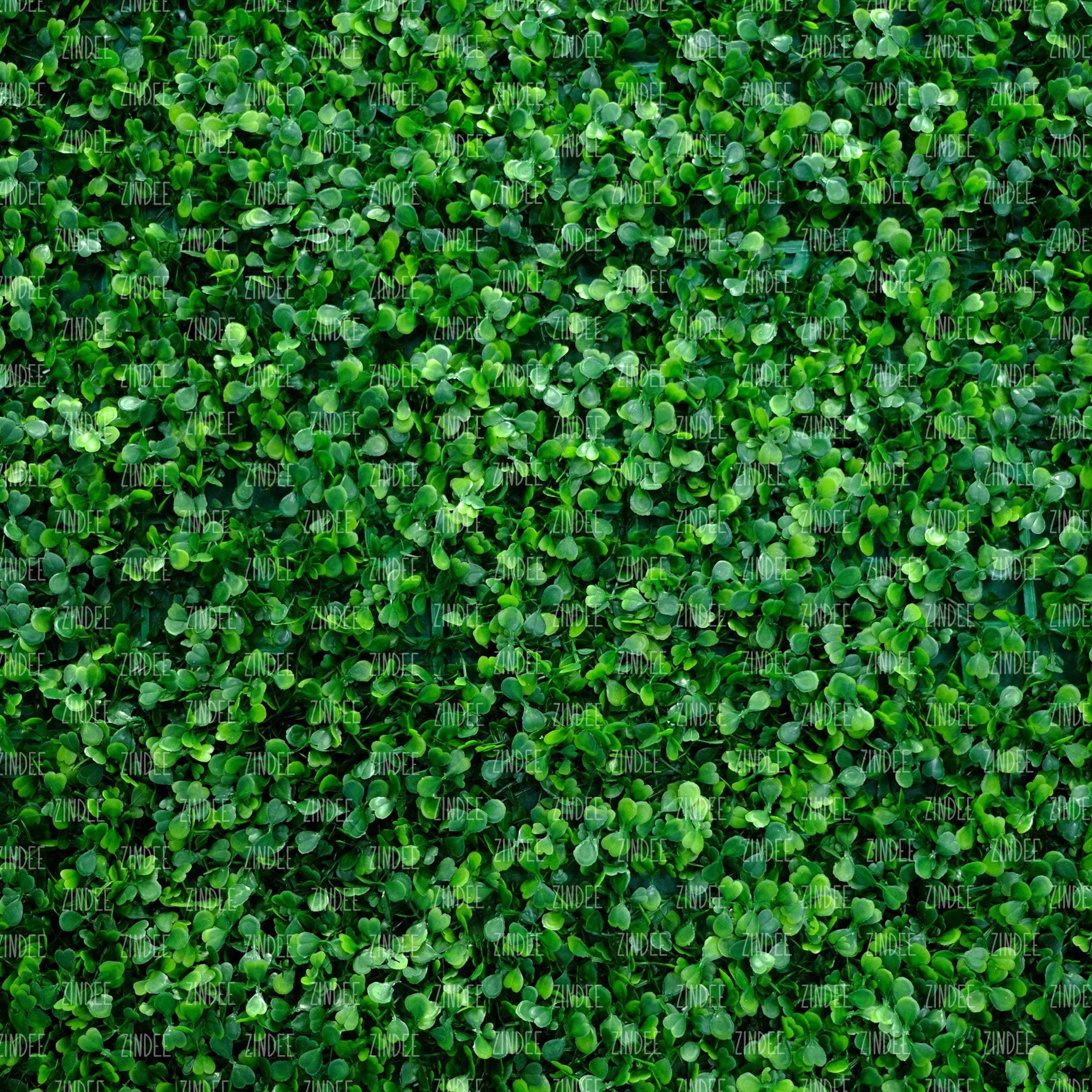 Grass Wall (vinyl)