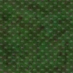 Moss Texture Look (digital paper)