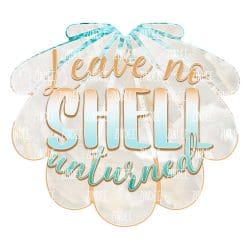 No Shell (download)