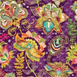 Paisley zs 226 (vinyl)