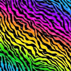 Rainbow Zebra (Sublimation Sheet)