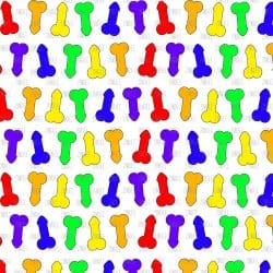 Rainbow Penis (vinyl)