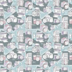 Retro Cameras (vinyl)