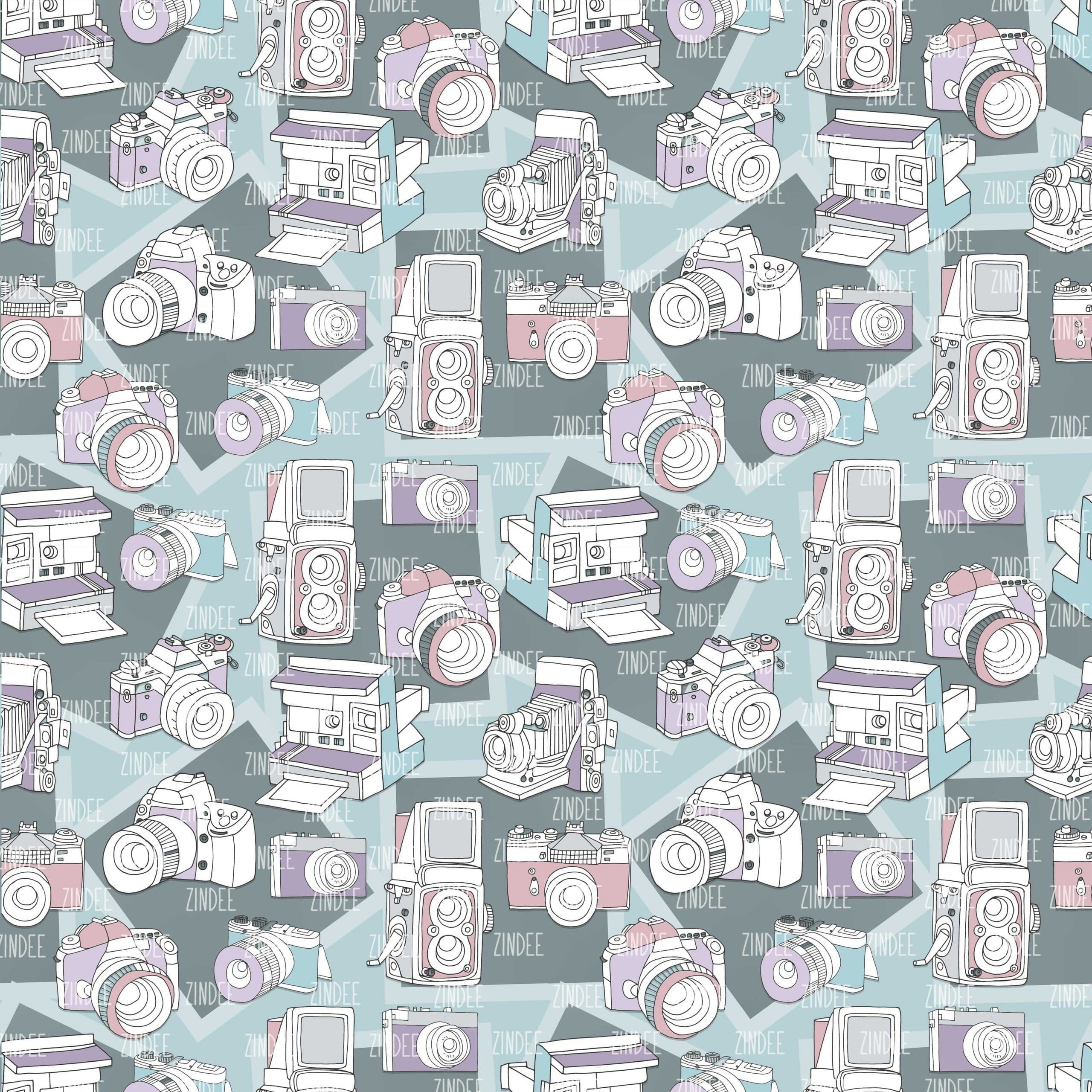 Retro Cameras (digital paper)