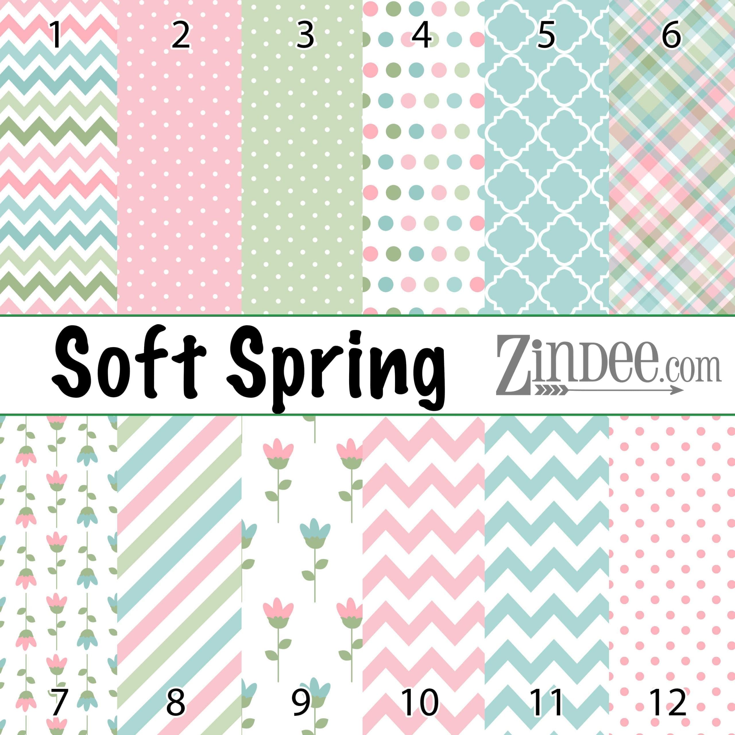 Soft Spring (vinyl)