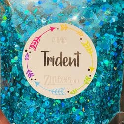 Trident Chunky Polyester Glitter (BAG)