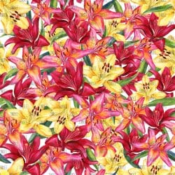 Tropical Lillies (digital paper)