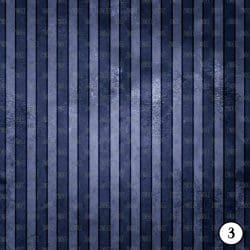 Vampire Midnight (vinyl) - Image 4
