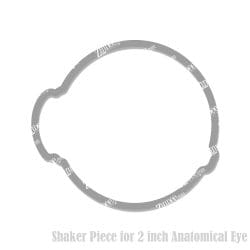 Anatomical Eye Shaker Piece (2 inch)